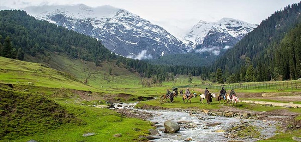 ferozepur nallah