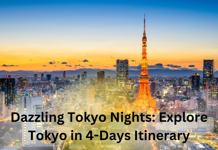 Dazzling Tokyo Nights