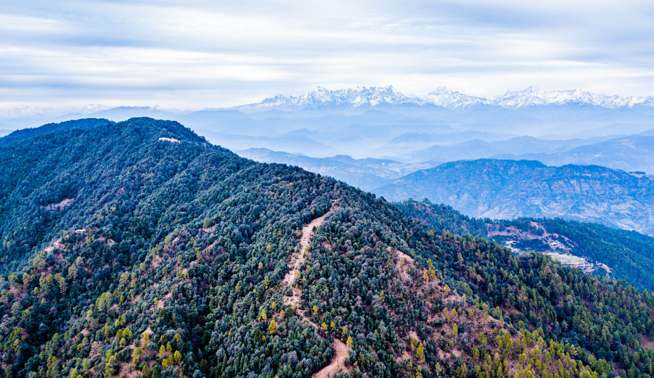 Binsar, Uttrakhand