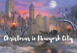 Christmas in Newyork City