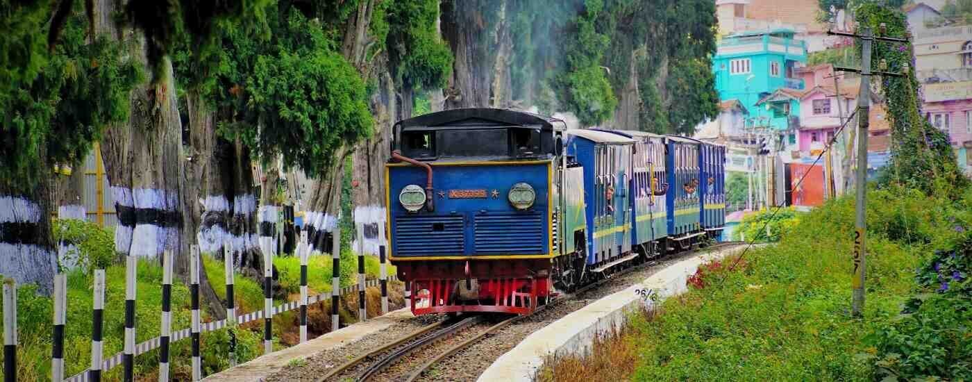 Ooty, Tamil Nadu