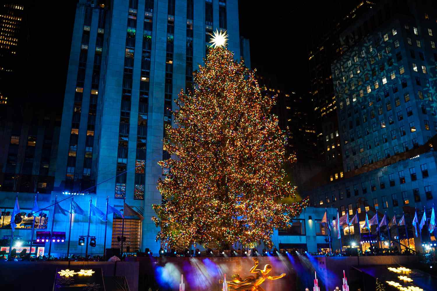 Bask in the glow of the Met Christmas tree