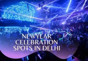 Newyear Celebration In Delhi